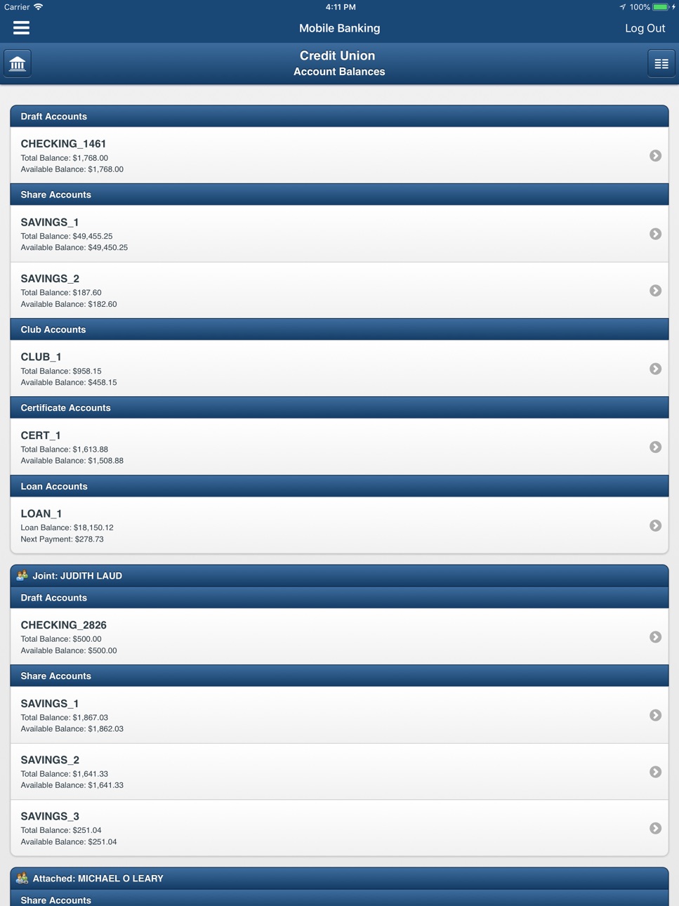 iPad screenshot
