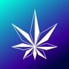 Smoakland Cannabis Delivery icon