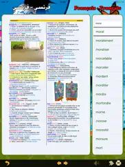 digital french arab dictionary iPad Captures Décran 4