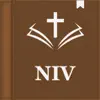Holy NIV Bible (Audio) problems & troubleshooting and solutions