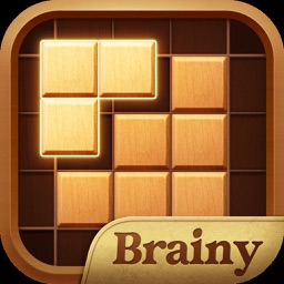 Brainy Block - Wood Puzzle