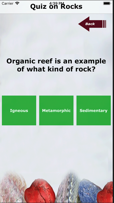 Kidz Learn Rocks Screenshot