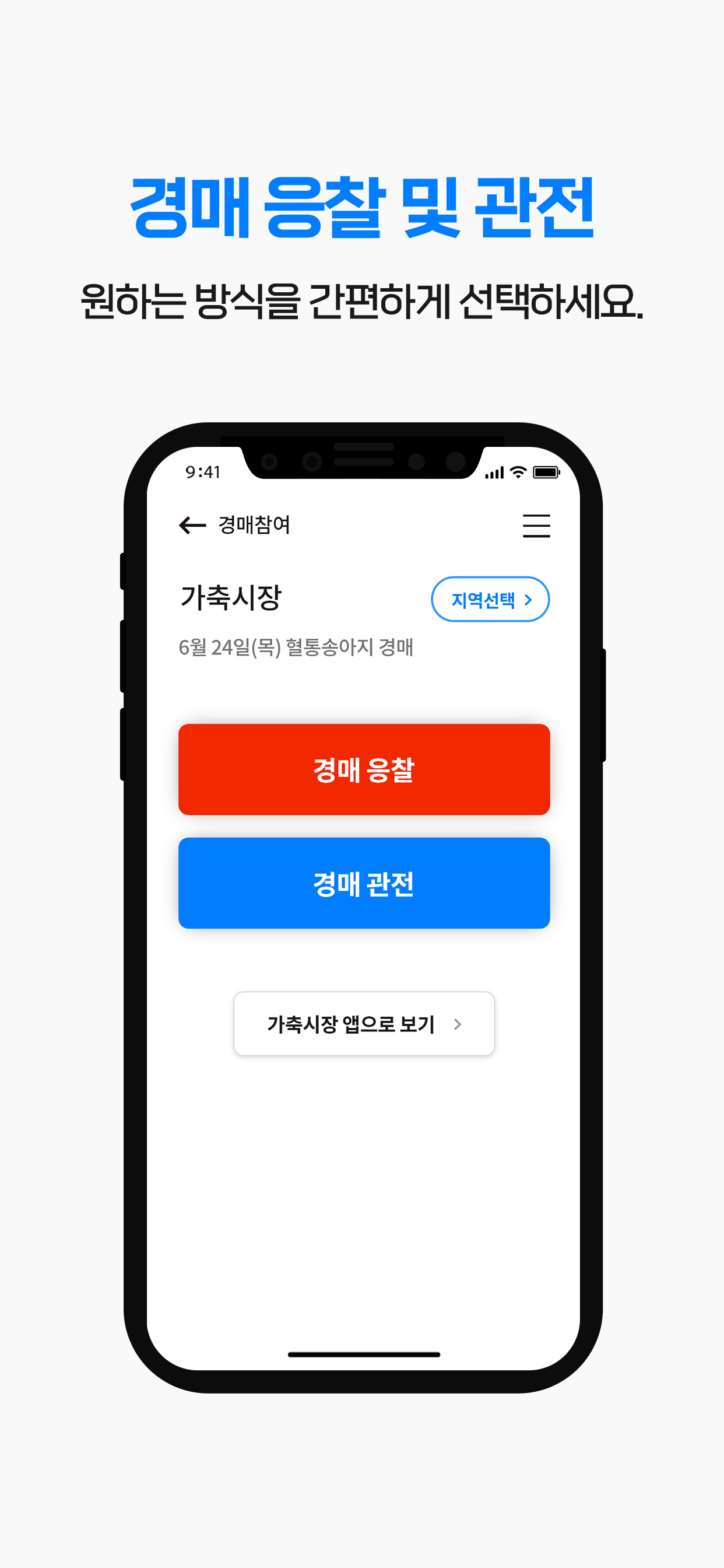 가축시장