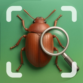Picture Insect Bug Identifier・
