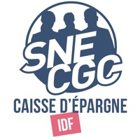 SNE-CGC CEIDF Avis