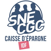 SNE-CGC CEIDF ne fonctionne pas? problème ou bug?