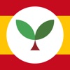 Learn Spanish with Seedlang icon