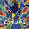 ヘアーサロン chekatika icon