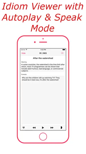 Idioms & Phrases (English) screenshot 2