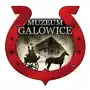 Muzeum Galowice