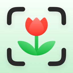 PlantAI - Plant Identifier