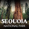 Sequoia National Park GPS Tour icon