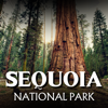 Sequoia National Park GPS Tour - 17 Mile Drive Day Trips, LLC