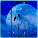 Download Blue moonIicght wallpapers app
