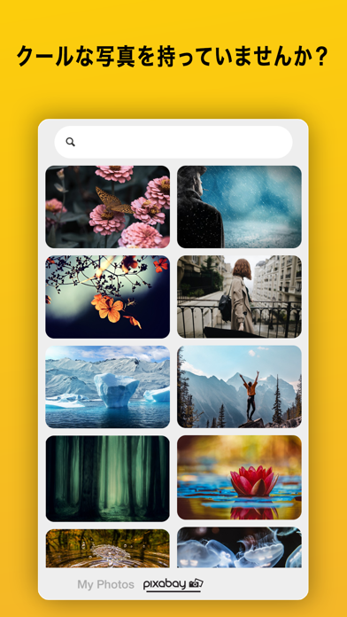 クールな写真を持っていませんか？