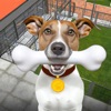 Animal Shelter - Pet Rescue icon