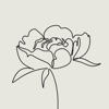 Flories • Магазин цветов icon