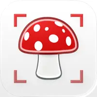 Picture Mushroom Identifier