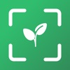 Plant Identifier & Plant Care icon