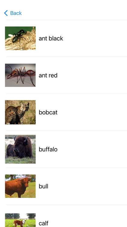 Speak Navajo Language Volume 2 screenshot-6