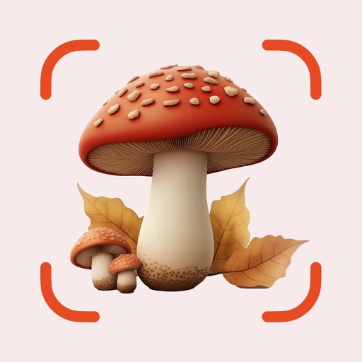 Mushroom ID: Photo Identifier