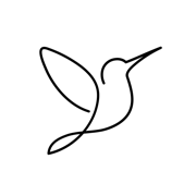 Muse - Video & Stories Editor