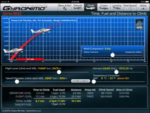 Cirrus SR22 screenshot 3