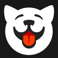 Dogr - Dog in Heat & Pregnancy