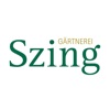 Szing icon