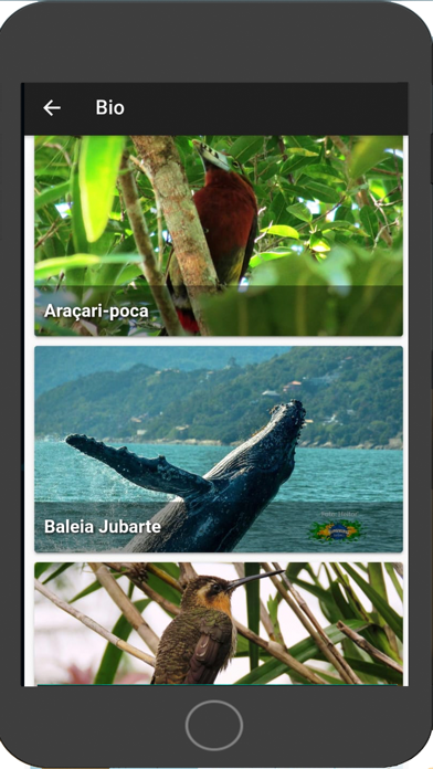 Tudoem O melhor de cada Cidade Screenshot