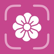 Flower Identifier - FlowerID