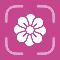Flower Identifier - FlowerID app icon - Reference app for iPhone