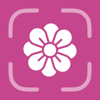 Flower Identifier - FlowerID