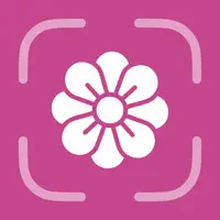Flower Identifier - FlowerID