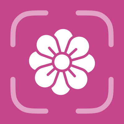 Flower Identifier - FlowerID