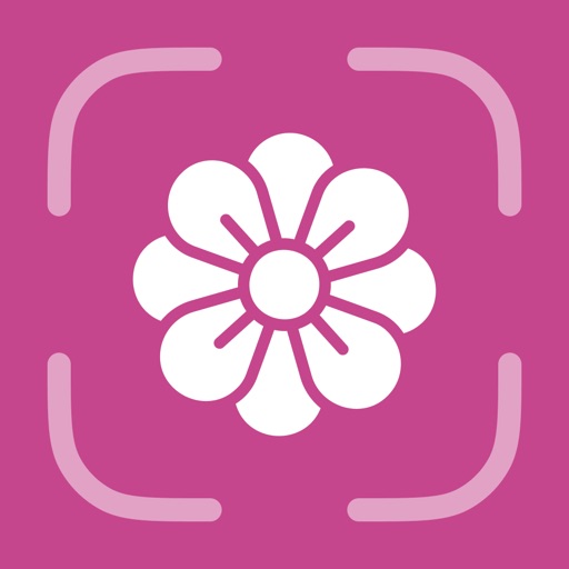 Flower Identifier - FlowerID