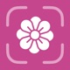 Flower Identifier - FlowerID app icon - Reference app for iPhone