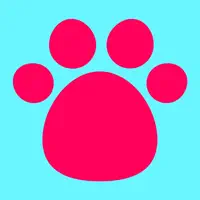 Petzbe: Pet Social Media