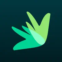 Build Credit & Money: Dovly AI