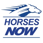 Download Horses Now app