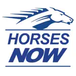 Horses Now App Cancel