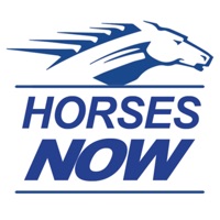 Horses Now logo