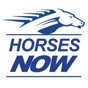 Horses Now app download