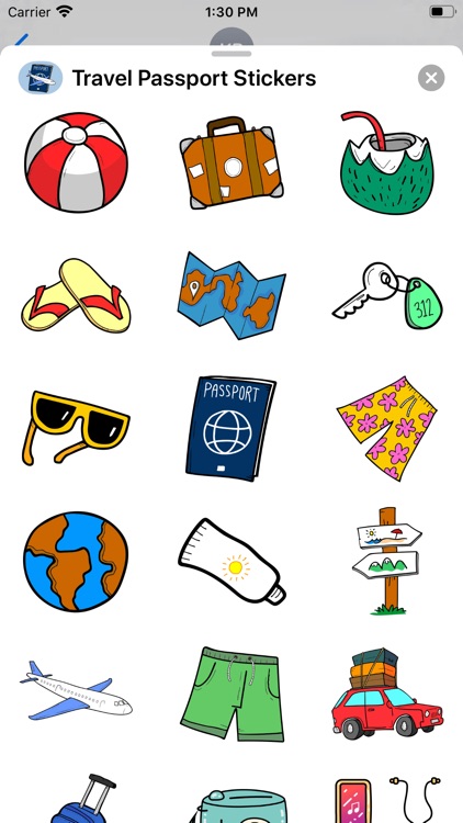 Travel Passport Stickers