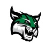 Green Bobcats icon