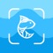 Fish Identifier Scan Fish AI is a groundbreaking mobile application designed to revolutionize how marine life enthusiasts, anglers, divers, researchers, and hobbyists interact with the underwater world