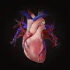 Complete HeartX icon