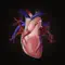 Complete HeartX anmeldelser