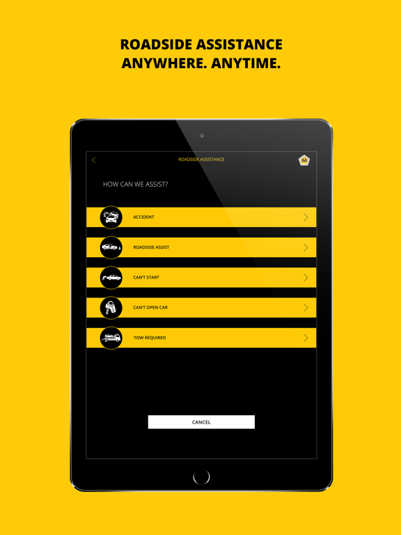 My AA App iPad screenshot 2