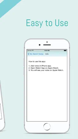 Quick Notes for iPhone & Watch screenshot 3